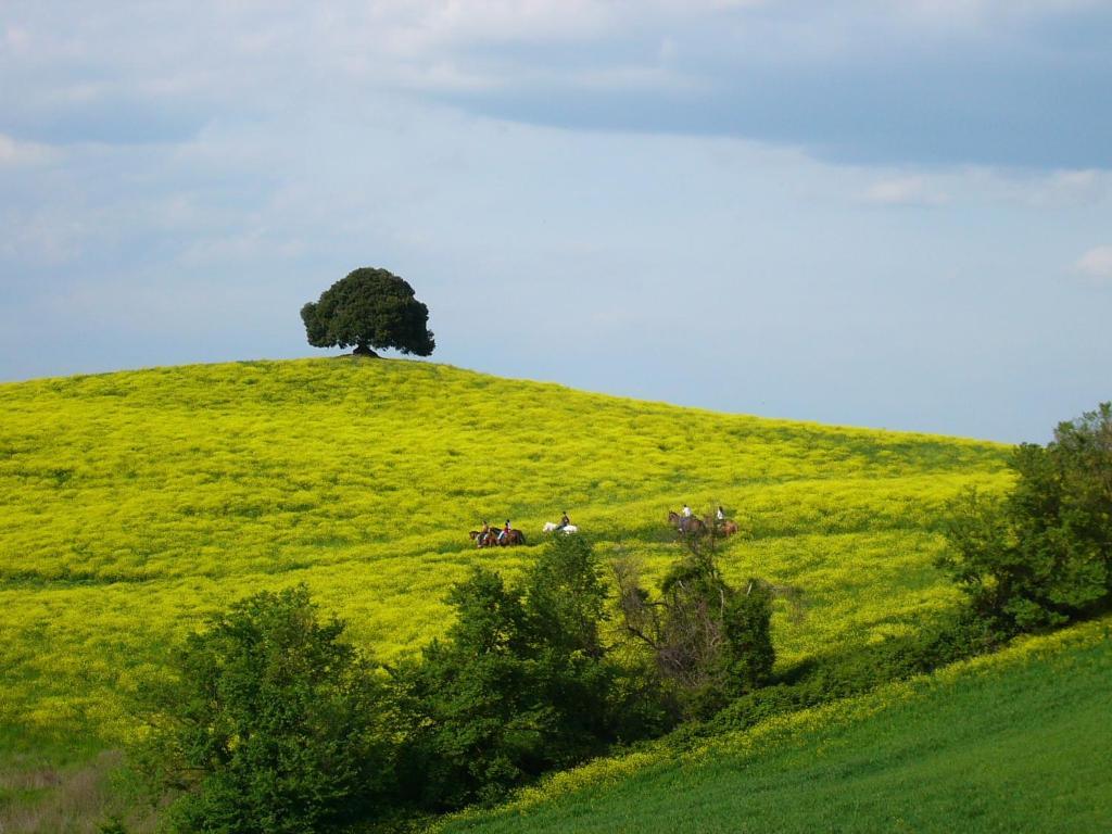 Fattoria Pieve A Salti Villa Buonconvento Kültér fotó