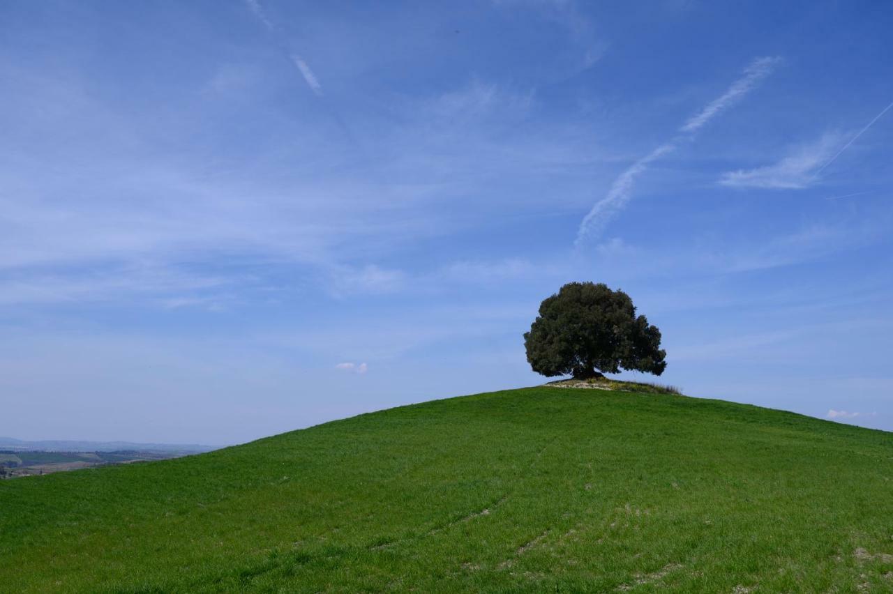 Fattoria Pieve A Salti Villa Buonconvento Kültér fotó
