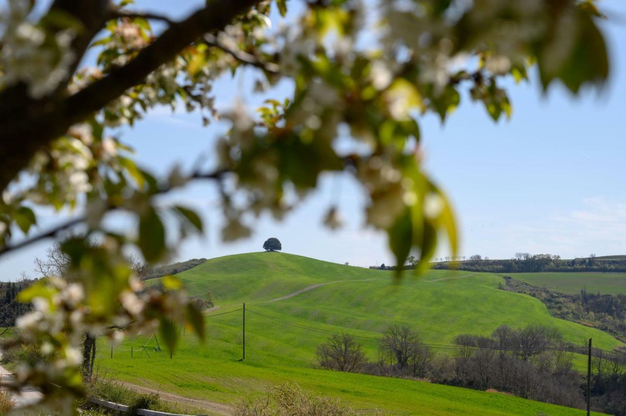 Fattoria Pieve A Salti Villa Buonconvento Kültér fotó